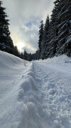 IMG_1230.jpeg