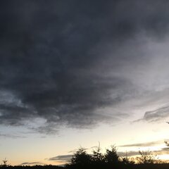 F5C8CCFB-D029-4562-BD29-E66EEE5738FD.jpeg