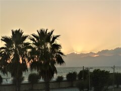 P1020999(1).jpg