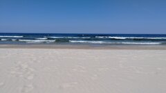 IMG_20240501_131755607.jpg