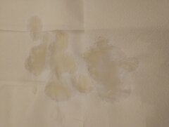 IMG_20240430_225833811.jpg