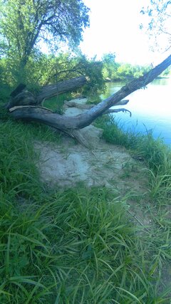 IMG_20240501_162338.jpg