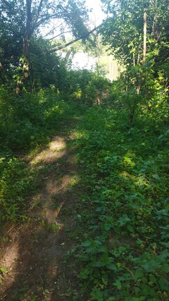 IMG_20240501_162254.jpg