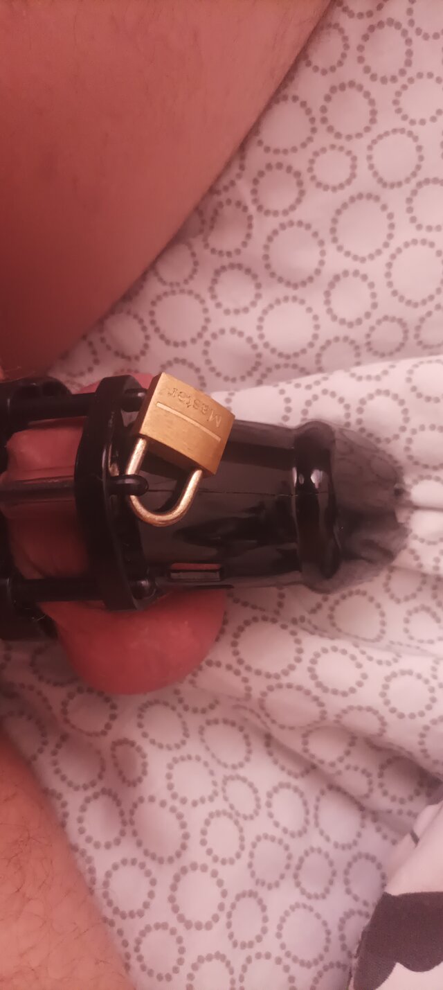 neo2600