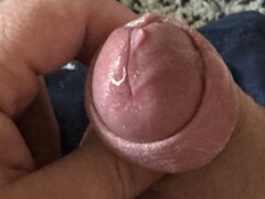 IMG_6799.jpeg