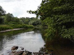 IMG_20240502_13215.jpg