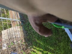 IMG_20240503_105930.jpg