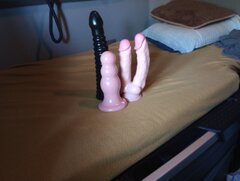 IMG_20240501_110324224.jpg