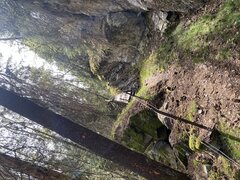 IMG_8173.jpeg