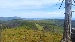 IMG_20240503_112443.jpg