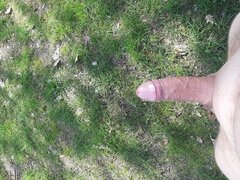 20240426_111832.jpg