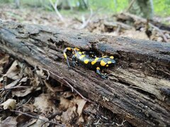 IMG_20230922_152143_Original.jpeg
