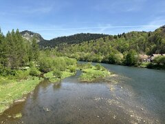 IMG_3825.jpeg