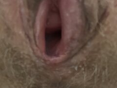 IMG_7021.jpeg