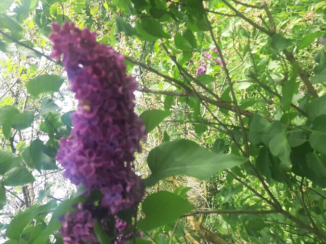 Krzyszto1234