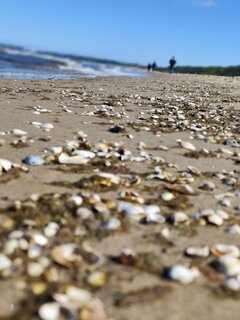 IMG_20240507_151715_217.jpg