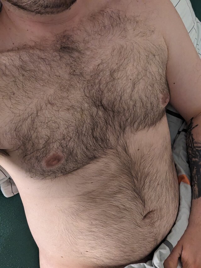 Bear1996NL