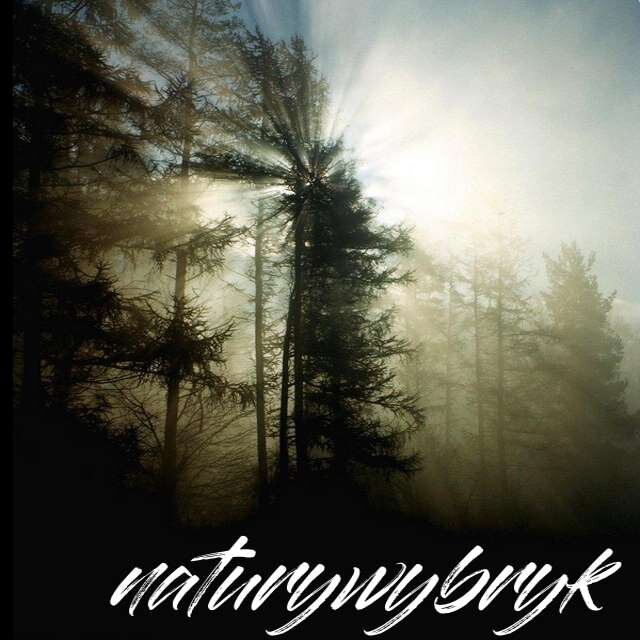 naturywybryk