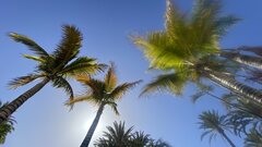IMG_1369.jpeg