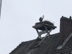 IMG_2646.jpeg