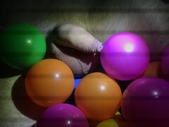 2D295B9D-91B9-4B89-86C7-7364B10BDBCE.jpeg