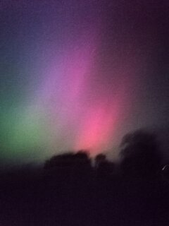 IMG_20240511_001629.jpg