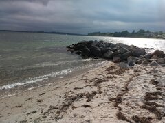 IMG_20220609_174501965.jpg
