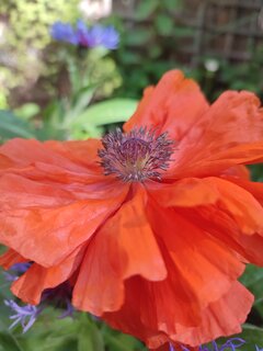 IMG_20240512_093028.jpg