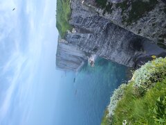IMG_20240510_134601.jpg