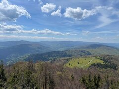 IMG-20240512-WA0013.jpg