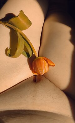 IMG_20240513_182717.jpg