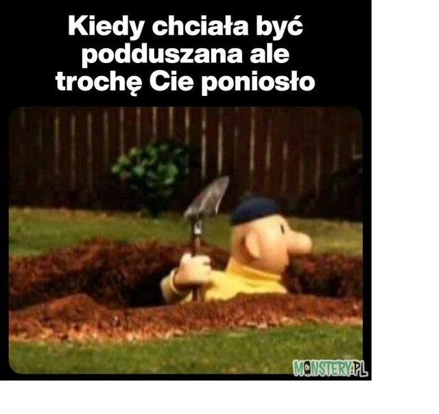 stefcio81