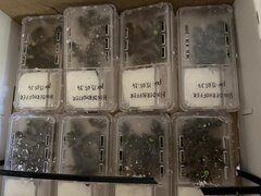 IMG_1161.jpeg