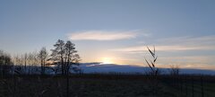 IMG_20231126_151610.jpg