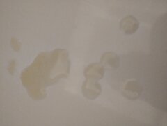 IMG_20240514_184243456.jpg