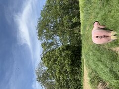 IMG_2939.jpeg