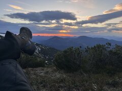 IMG_2328.jpeg
