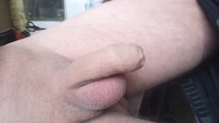 IMG_20240517_200450_156_NV.jpg