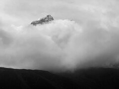 IMG_7786.jpeg