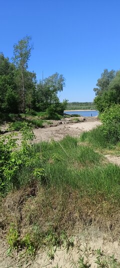 IMG20240518111724.jpg