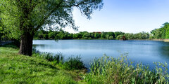 DSC08502.jpg