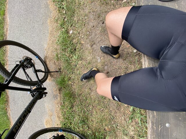 bdgsox