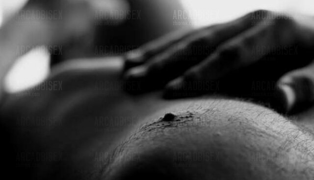 ArcadBiSeX