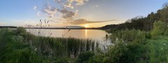 IMG_2710.jpeg