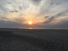 IMG_1134.JPG