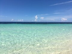 IMG_2711.JPG