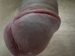 IMG_9805.jpeg