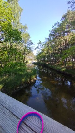 IMG_20240523_081530.jpg