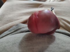 IMG_20240523_163612503.jpg