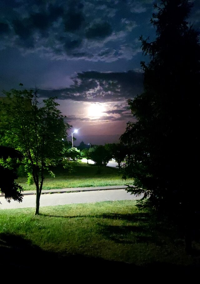 blackgreeg